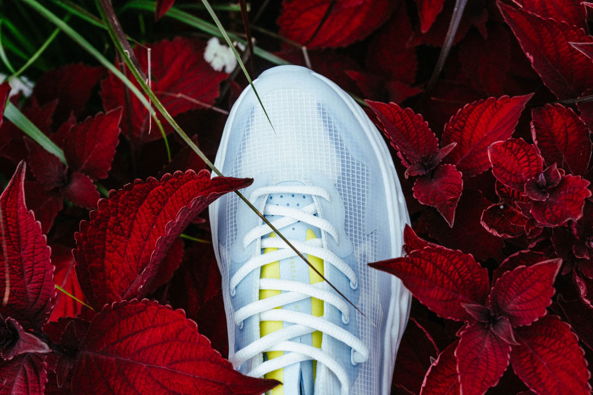 flowers-for-society-seed-one-treibhaus-sneaker image 8