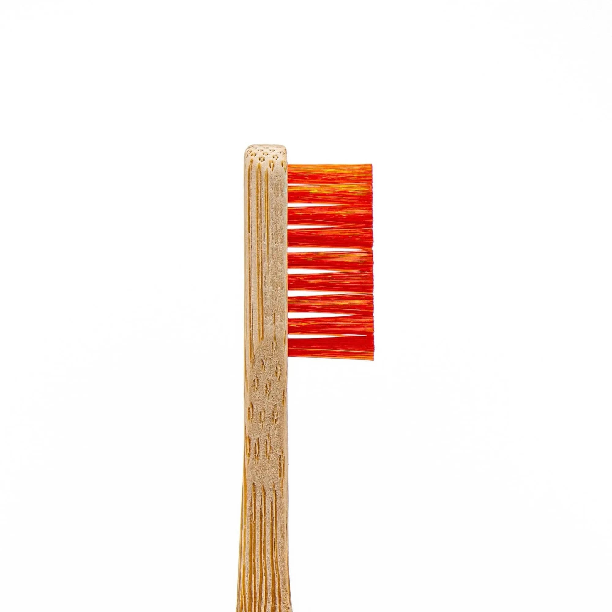 angelus-detail-cleaning-brush-set-2-sneaker-b-rsten-weich-hart image 4