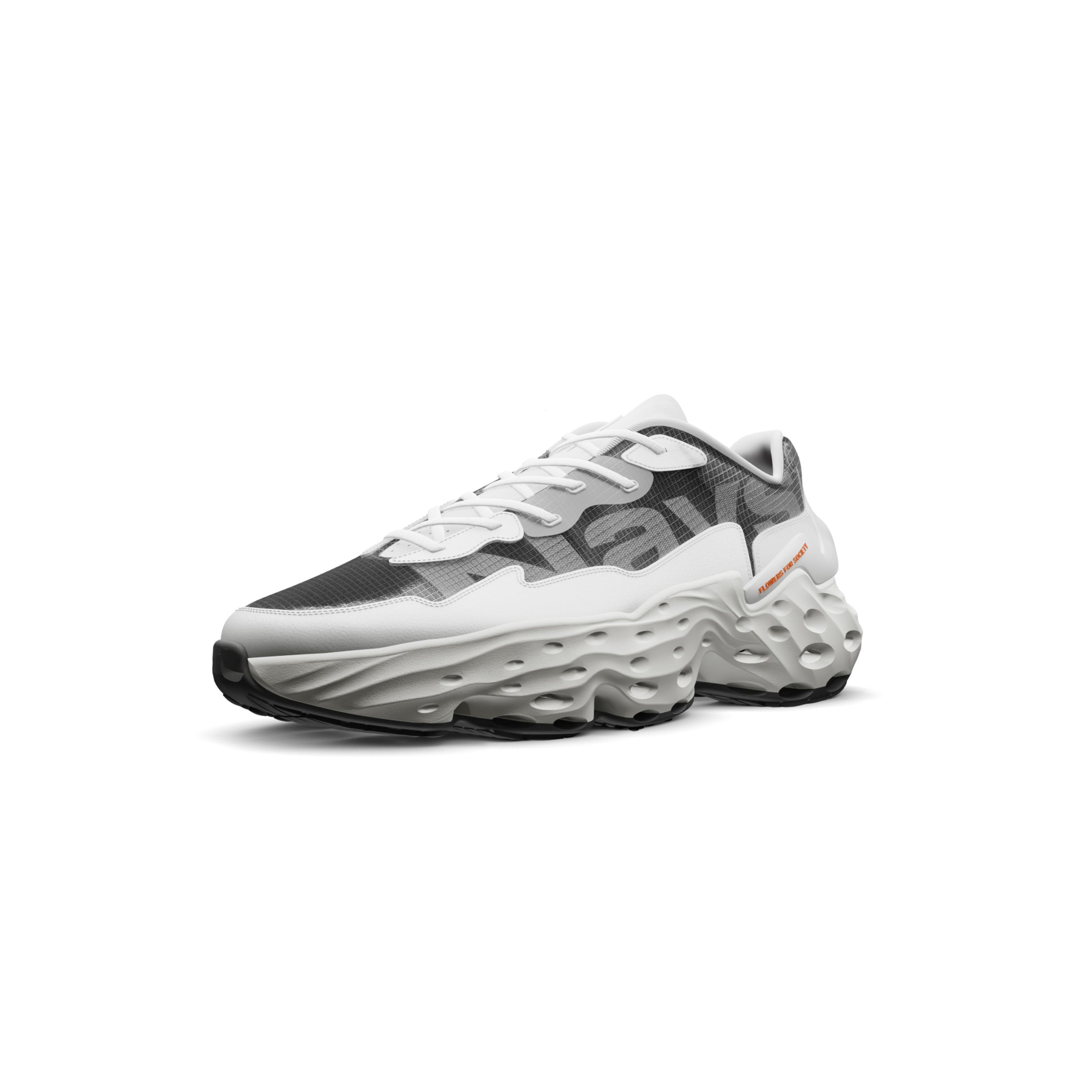 flowers-for-society-seed-one-nays-baits-sneaker-limited-edition image 2