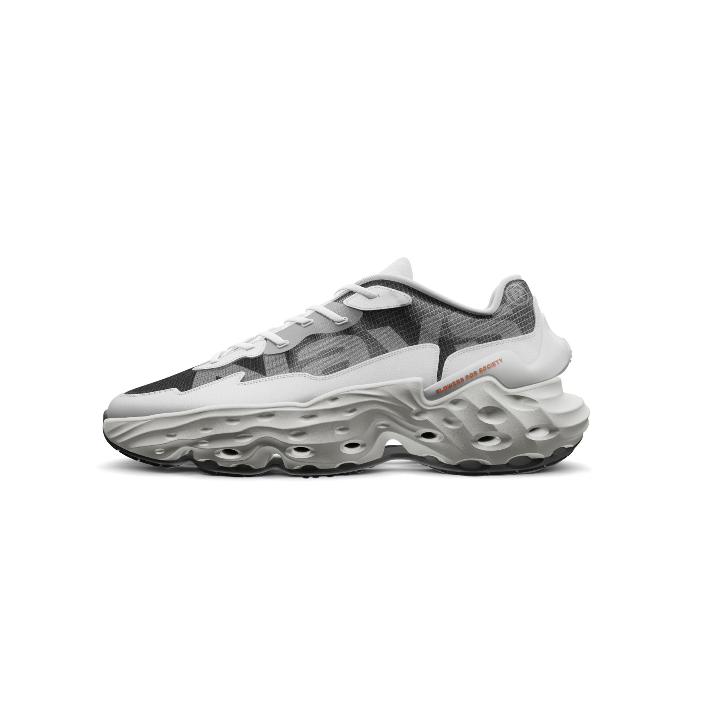 flowers-for-society-seed-one-nays-baits-sneaker-limited-edition image 1